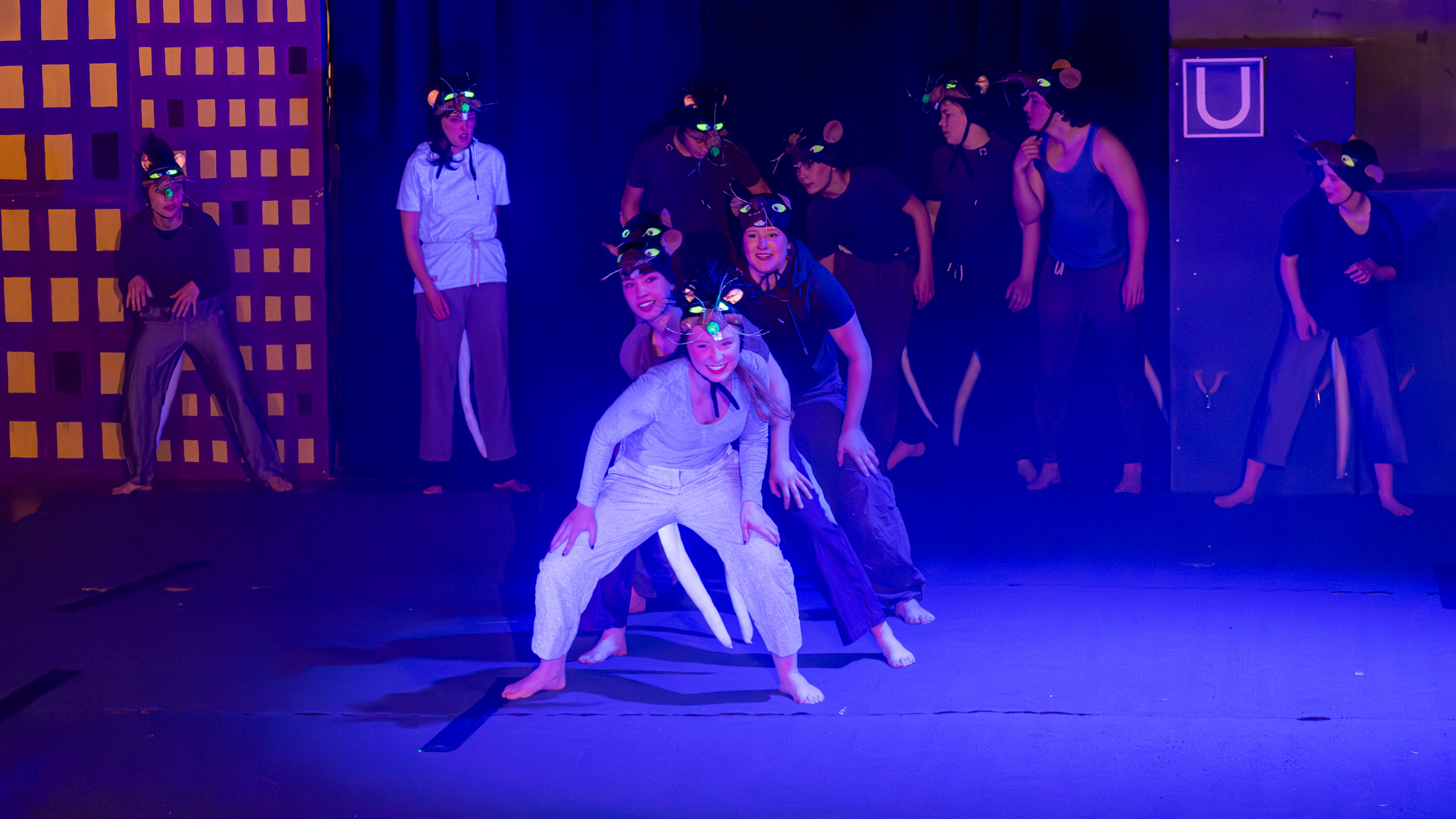 20250529115322 R5D 2955 e